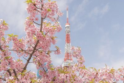 3月6日(金) 3月東京名所めぐり