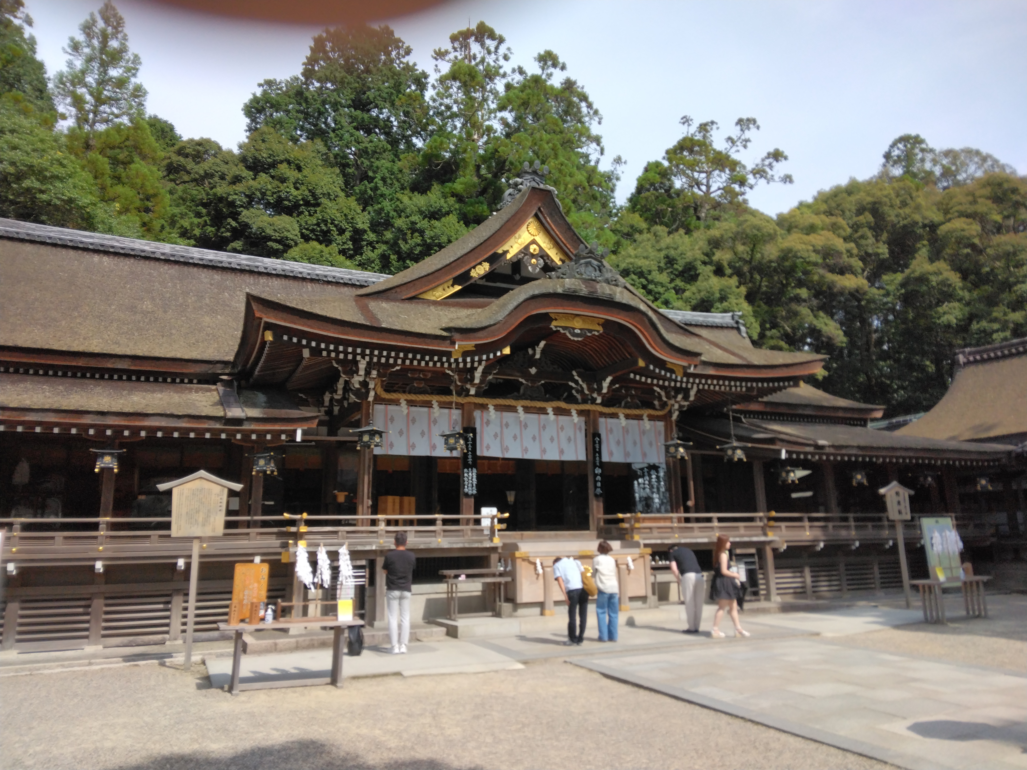 4/9-4/10 吉野の桜と飛鳥歴史公園～石舞台古墳、橿原神宮と大神神社を訪ねる～