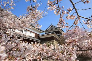 4月11日(土) 信州・甲州満開さくら名所めぐり