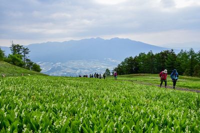6月7日(日) 現地ガイドと歩く！入笠山すずらんハイキング