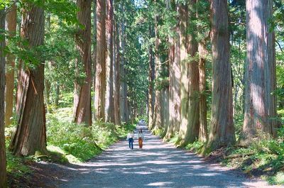 5月7日(木) 戸隠水芭蕉ハイキング＆国宝善光寺