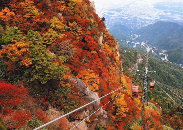 ロープウェイで天空の絶景へ！御在所岳紅葉散策と名古屋ひつまぶし