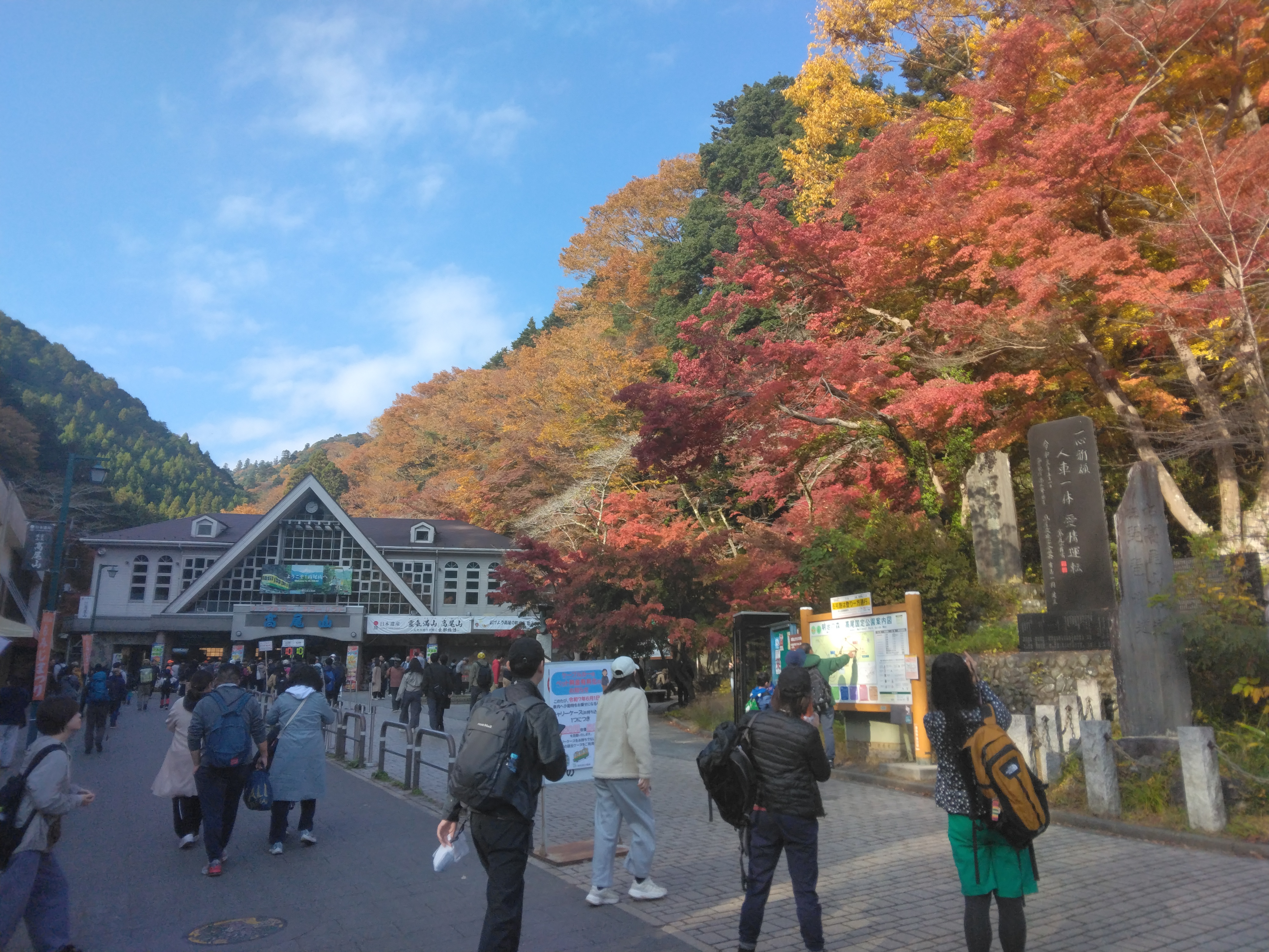 11月22日(日) 紅葉の高尾山を歩こう！ 東京競馬場で大迫力レース観戦