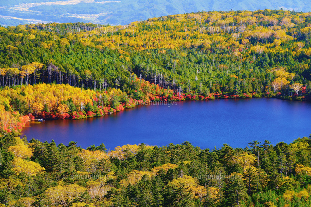 10月19日(月) 天空の紅葉絶景！白駒池と高見石ハイキング