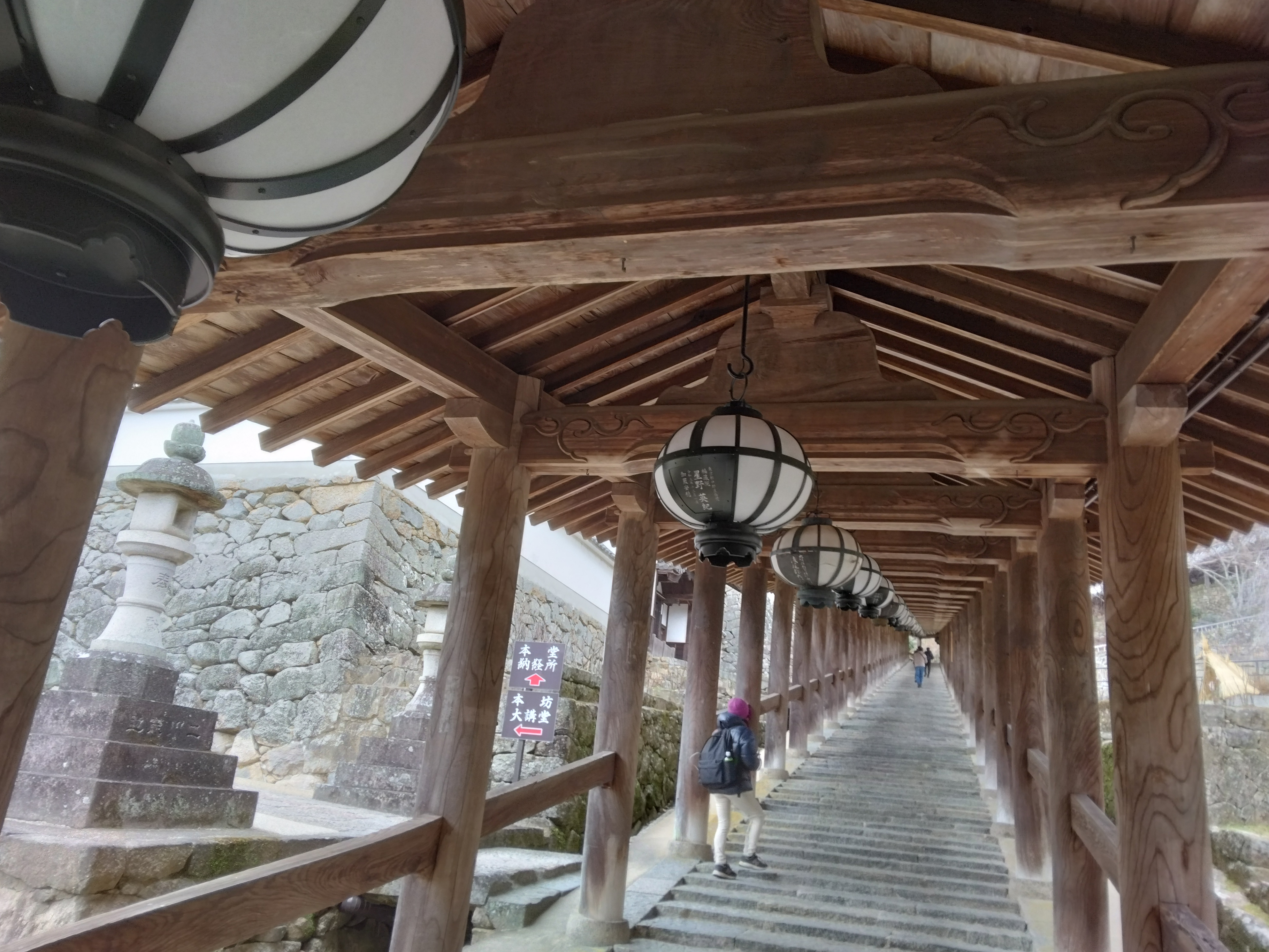 11月17日(火)～18日(水)  秋色に染まる古都奈良2日間　～紅葉の長谷寺・談山神社＆特別公開の秘仏を拝観～