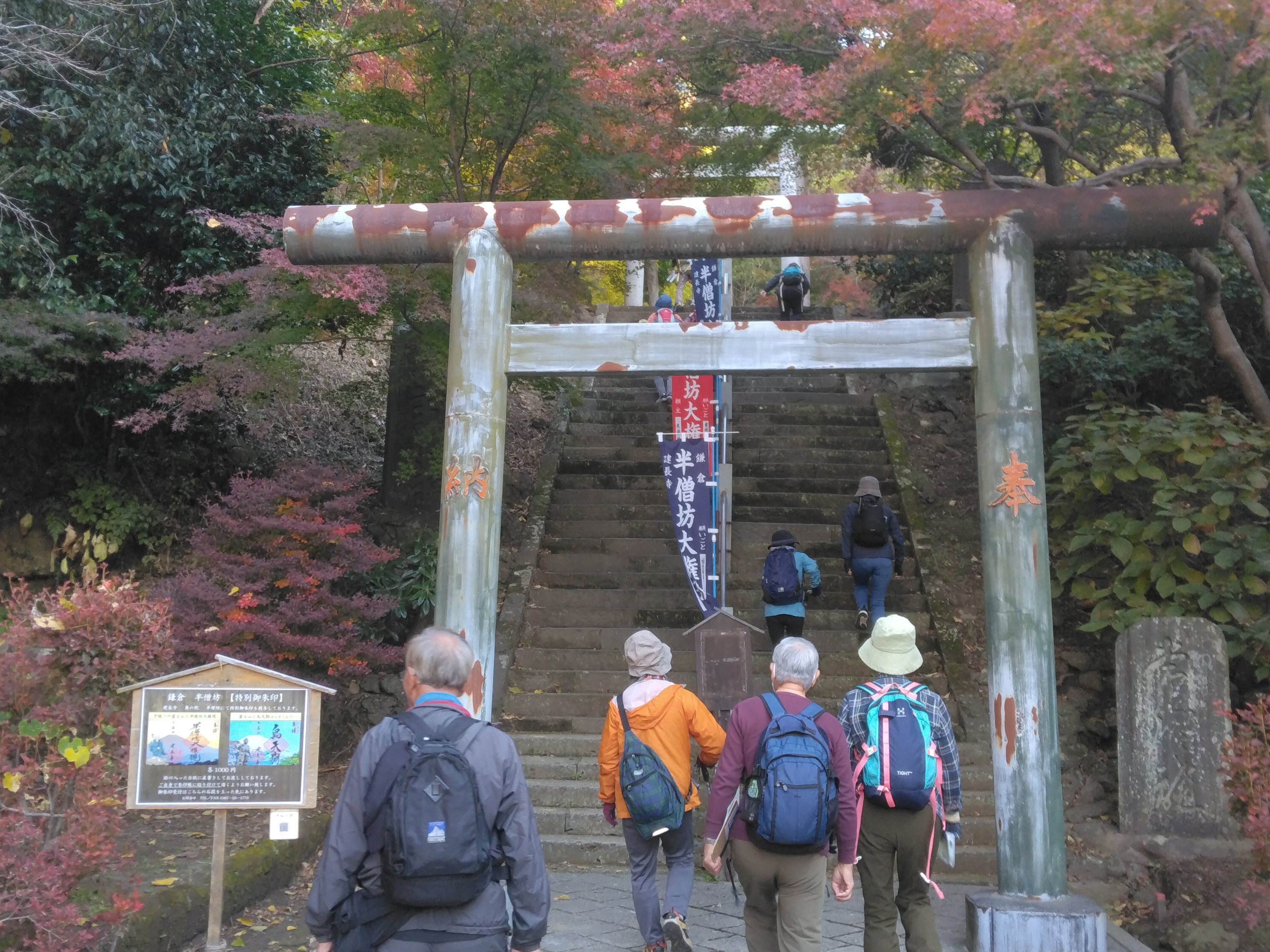 11月26日(木) 紅葉に染まる鎌倉最高峰！天園ハイキング＆横浜中華街（鎌倉フリータイムも選択できます)