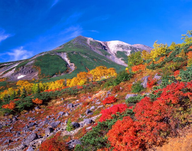 10月1日(木) 紅葉の乗鞍岳ハイキング