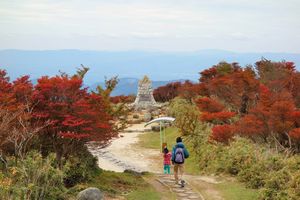 11月8日(土) 紅葉の御在所ハイキング ～昼食は名古屋コーチンををご用意します～