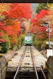 11月12日(水) 日本１００名山筑波山ハイキング　★キャンセル待ち★