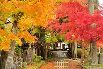 11月21日(金) 紅葉の箱根・小田原満喫 ～ライラック美術館ジュエリースイーツビュッフェランチ～