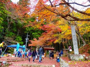 11月28日(金) 紅葉の三河の満喫 小原四季さくらまつり＆香嵐渓紅葉まつり　★キャンセル待ち★