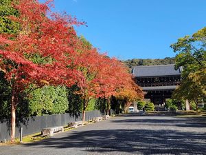 12月1日(月)～2日(火) 晩秋紅葉企画！京都＆近江路満喫２日間 ～世界遺産の上賀茂＆下鴨神社非公開文化財を訪れます～