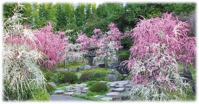 3月14日(土)～15日(日)都ホテル宿泊！花の京都2日間～豊臣兄弟ゆかりの寺社＆冬の非公開文化財を巡る旅～ あと8名